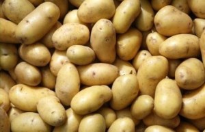 patata