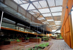 expo milano