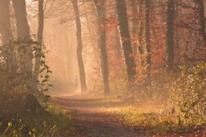 Vitamina D a settembre 2026: perché l’autunno svuota le riserve e cosa fare subito