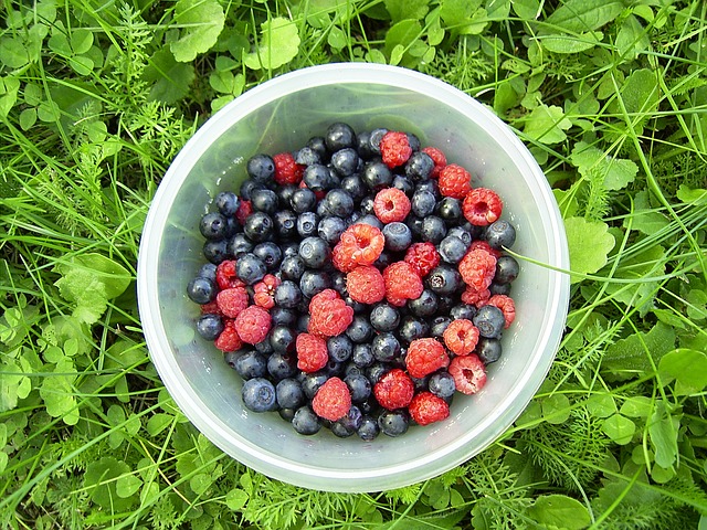 frutti di bosco