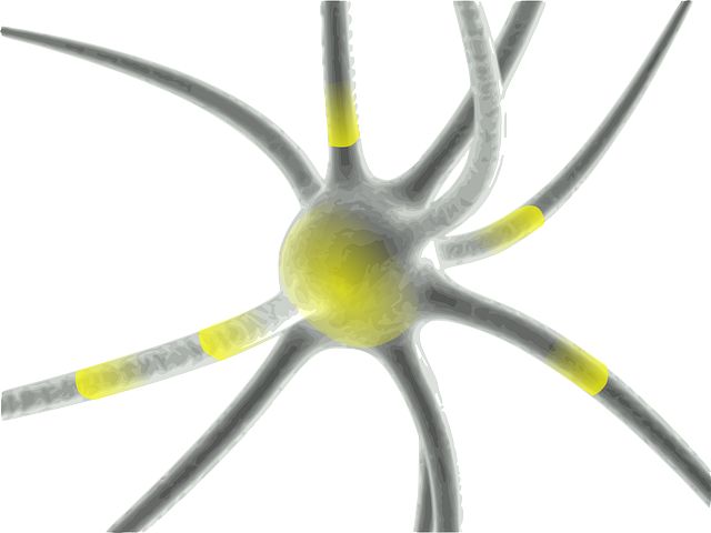 virus
