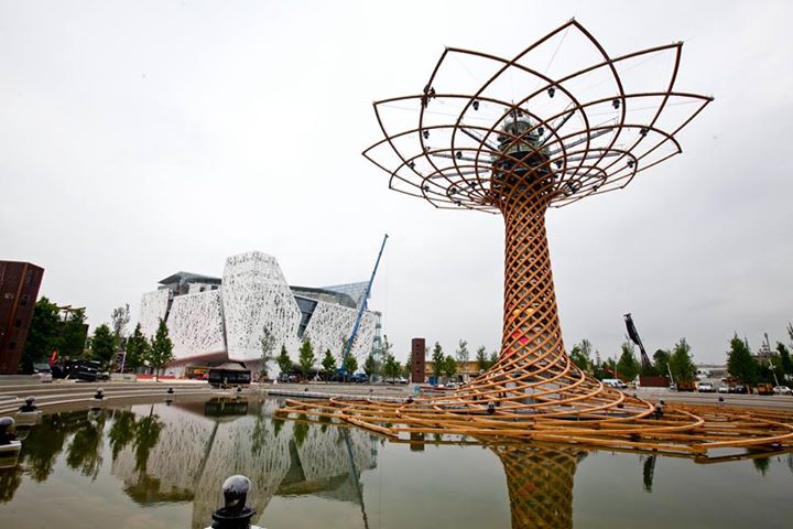 expo 2015