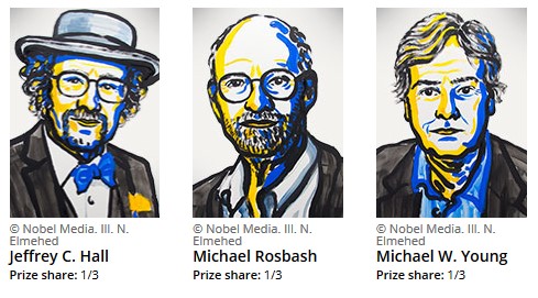 nobel